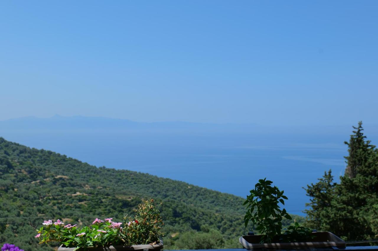 Vila Panorama Piqeras Bed & Breakfast ภายนอก รูปภาพ
